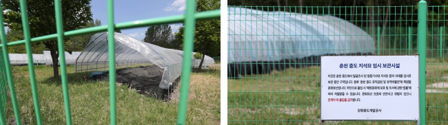 몇 년째 비닐하우스에 임시 보관 중인 고인돌