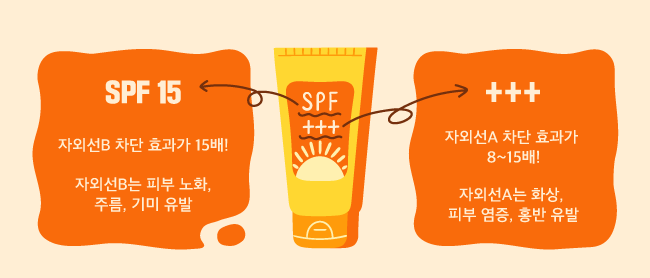 SPF15+++의 의미