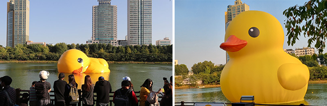 (왼쪽부터) 2014년 당시 러버덕, 2022년 다시 돌아온 러버덕 