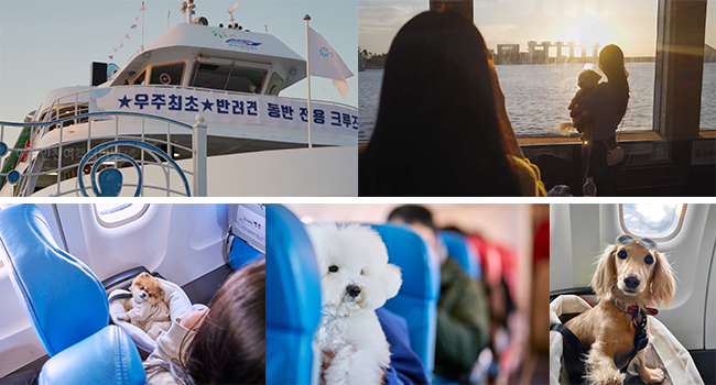 출처 : 펫츠고, 반려생활