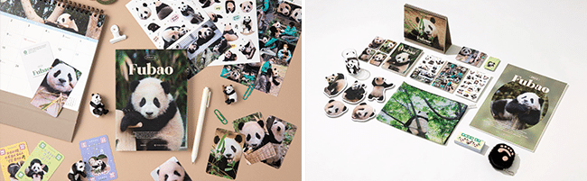 출처 : 텐바이텐