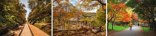 (왼쪽부터) 항동철길, 은평한옥마을, 매헌시민의숲 / 출처 : 서울관광재단